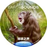 地球之声 B 2024 双碟装  介绍：2024年Apple TV首部自然纪录片...