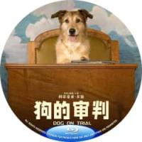 评分：8 狗的审判  Le procès du chien (2024) （豆瓣...