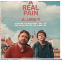 最佳男配角：真正的痛苦 A Real Pain (2024)   （豆瓣评分7....