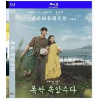评分：9.5 苦尽柑来遇见你（2碟）  When Life Gives You Tangerines (2025)  (2025年奈飞最新推出韩国爱情历史剧集大作，豆瓣评分高达9.4分，由金元锡指导，李知恩、朴宝剑、文素利领衔主演。该剧讲述