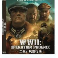 （高清）二战：凤凰行动  （2024年美国上映战争片，1944年，一队盟军突击队...