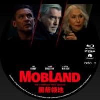 评分：8 黑帮领地(2碟)  2025最新火爆大作！该剧讲述两大家族的纷争，两大家族总部设在伦敦，他们的商业版图遍布全球。哈迪饰演哈里，一位“极度忠诚”的掮客，他的任务是不惜一切代价保护其中一个家族。米伦和布鲁斯南出演犯罪家族的族长。）