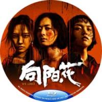 评分：7 向阳·花 又名: 出狱女子的故事 (2025)（锒铛入狱，天崩开局，刑...