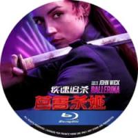 评分：7.5 疾速追杀：芭蕾杀姬 （2025年美国最新期待动作大片重磅来袭！，该片该片时间线设定在《疾速追杀3》和《疾速追杀4》之间，讲述了一个年轻女刺客在家人被杀后寻求复仇的故事。） 