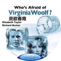 灵欲春宵(1966)(本片是奥斯卡有史以来唯一一部获得奥斯卡所有13个奖项提名的电影，伊丽 莎白也是首位获得百万美元片酬的巨星！) 