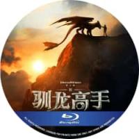 评分：8.5 新·驯龙高手 又名: 驯龙高手真人版  （2025年美国上映奇幻冒...