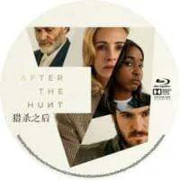 评分：6 猎杀之后 （2025年美国上映惊悚犯罪片，由卢卡·瓜达尼诺执导，朱莉娅...