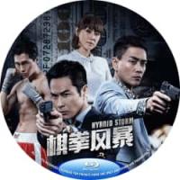 棋拳风暴 (2025年香港上映犯罪运动片，由吴家伟指导，郑嘉颖 、胡鸿钧、刘心悠主演。棋拳是新兴运动，运动员需同时比拼拳击与国际象棋，是揉合智力与武力的运动。影片则以反贪处长和黑帮老大的一盘中国象棋，处长以棋术压倒心术不正的对手，还破了对方