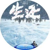 生还  2025最新国产战争力作,第一次用电影方式讲述了抗联后期从突围到整编为教导旅再到打回东北的全过程)