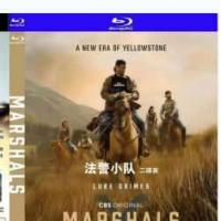 黄石：法警小队 第1季 C 2026 三碟装  介绍： 2026年西部题材的巅峰...