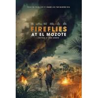 战场上的萤火虫（2025年美国上映历史战争片，由米娜·苏瓦丽主演。 20世纪80...
