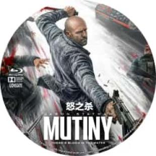 评分:7 怒之杀 (2026年杰森·斯坦森领衔主演动作犯罪电影《怒之杀》只身闯入远洋货轮开启一秒收割一命的硬核复仇,讲述了富豪蒂布遭遇袭击身亡后,贴身保镖科尔·里德被栽赃为凶手,遭到全境通缉... )